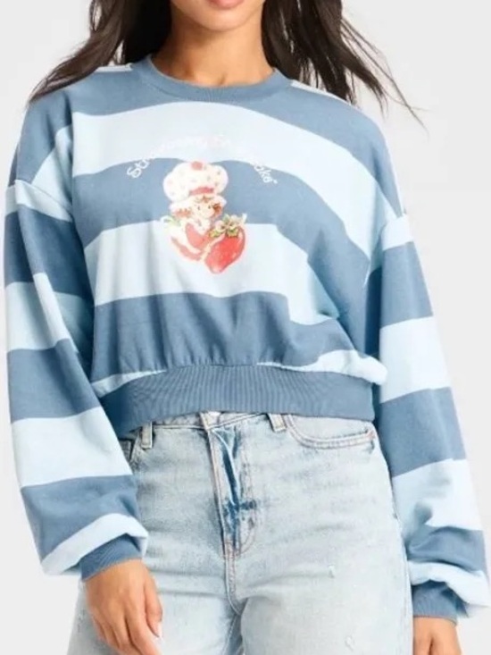 Sweaters - World of Strawberry Shortcake Blue Striped Crop Sweatshirt